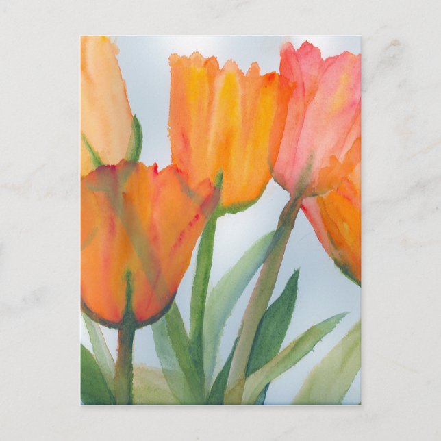Carte Postale Tulipes d'agrumes orange (Devant)