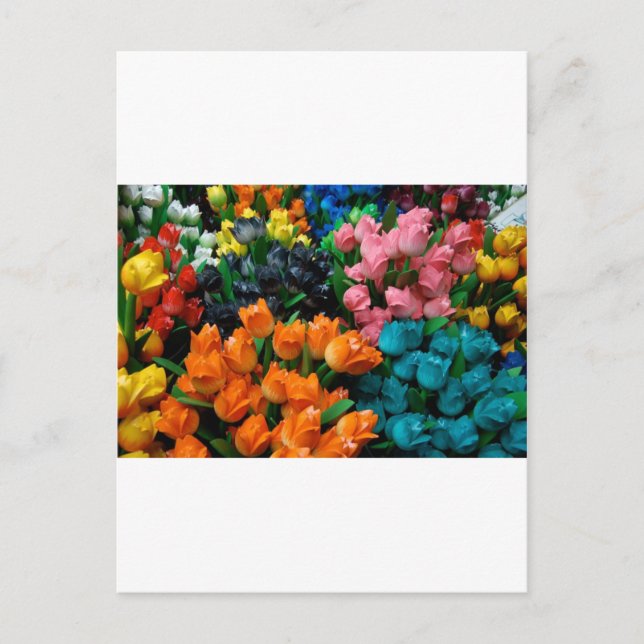 Carte Postale Tulipes d'Amsterdam (Devant)