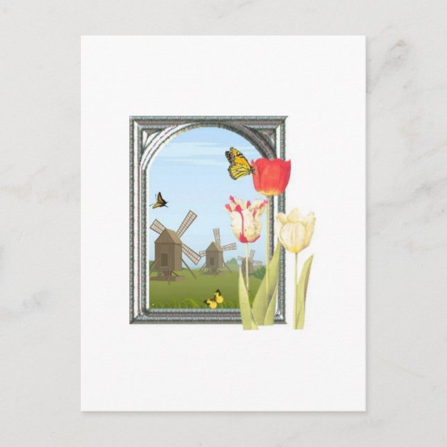 Carte Postale Tulipes d'Amsterdam (Devant)