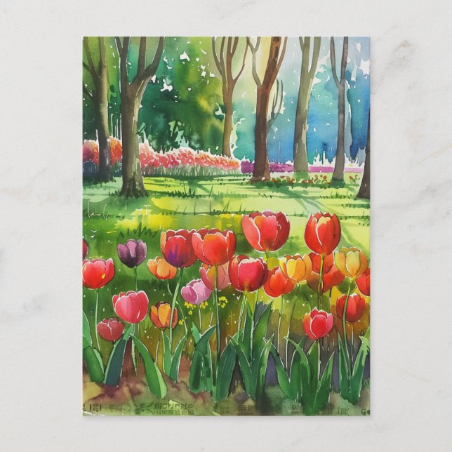 Carte Postale Tulipes dans le parc (Devant)