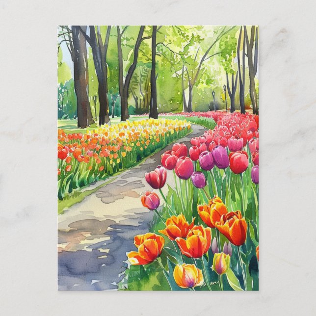 Carte Postale Tulipes dans le parc (Devant)