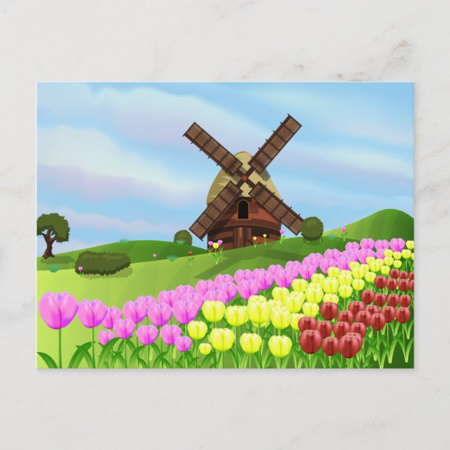 Carte Postale Tulipes de Hollande (Devant)