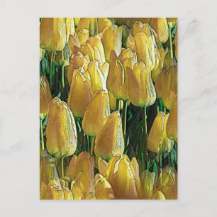 Carte Postale Tulipes Jaune Soleil