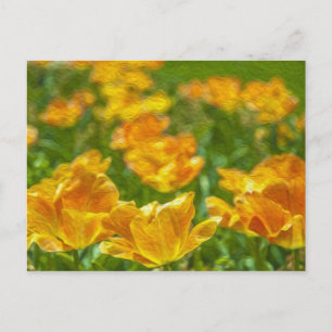 Carte Postale Tulipes peintes