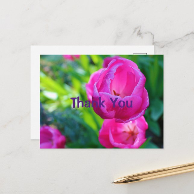 Carte Postale Tulipes roses (Devant/Arrière en situation)