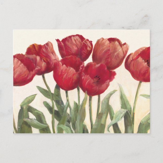 Carte Postale Tulipes rouges (Devant)