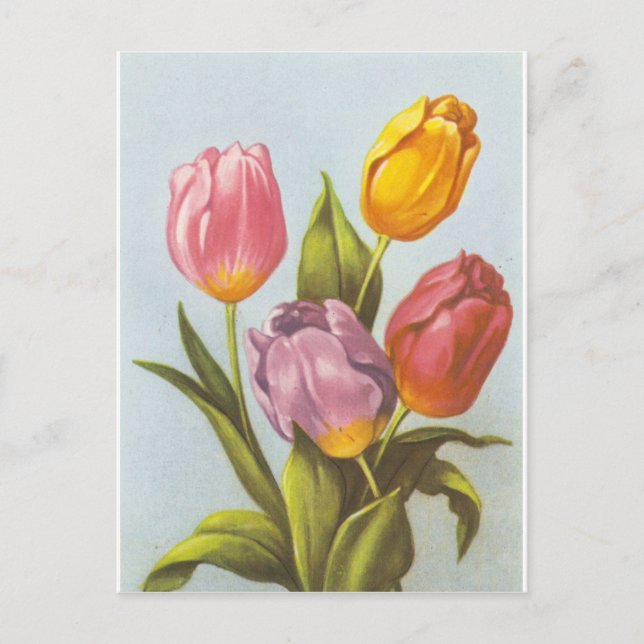 Carte Postale Tulipes vintages jaunes, roses et violettes (Devant)