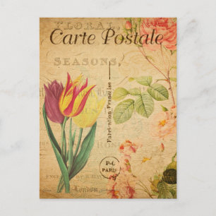 Carte Postale Tulipes vintages rouges et jaunes Fleurs florales