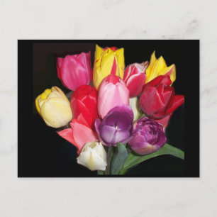 Carte Postale Tulips dit tout