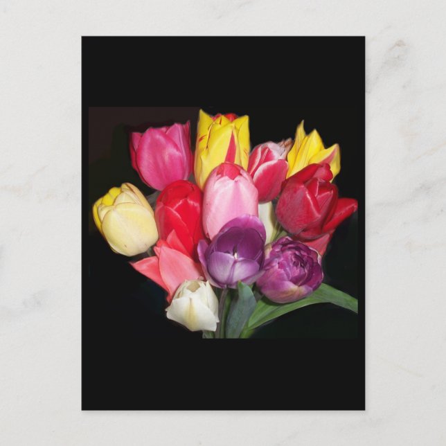 Carte Postale Tulips dit tout (Devant)