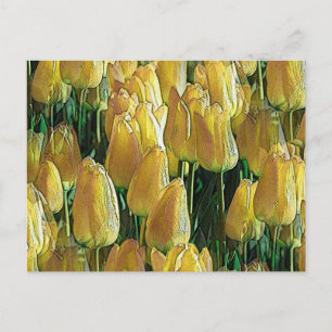 Carte Postale Tulips Sunshine Yellow