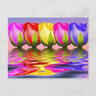 Carte Postale tulpen dans l'eau