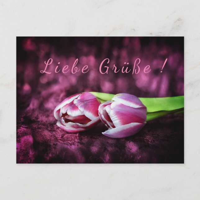 Carte Postale Tulpen Gruß (Devant)