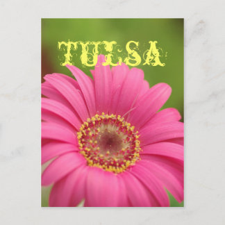 Carte Postale "Tulsa" Pink Gerbera Daisy Postcard