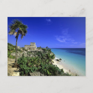 Carte Postale Tulum, Mexique 2