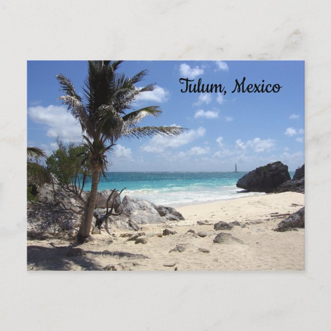 Carte Postale Tulum, Mexique - Plage - Palmiers (Devant)