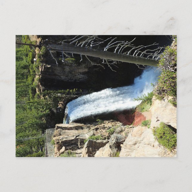 Carte Postale Tumalo Falls (Devant)