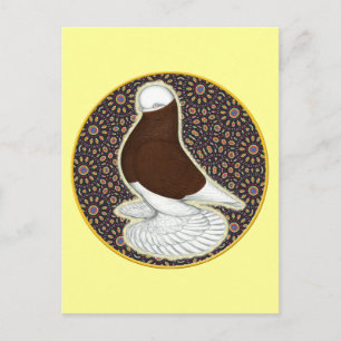 Carte Postale Tumbler Pigeon Circle