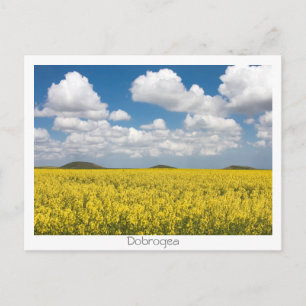Carte Postale Tumuli