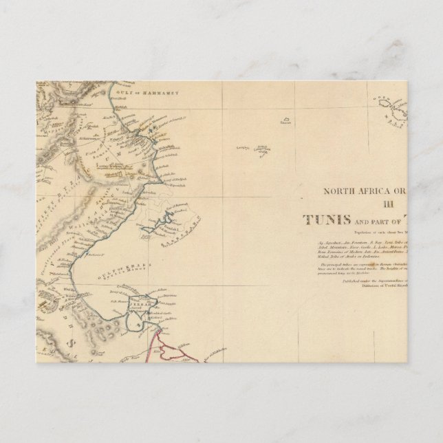 Carte Postale Tunis, Tripoli (Devant)
