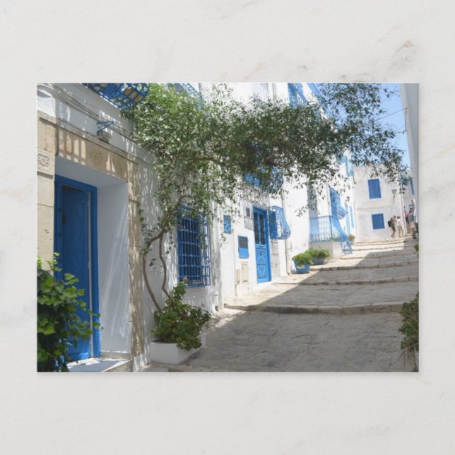 Carte Postale Tunisie (Devant)