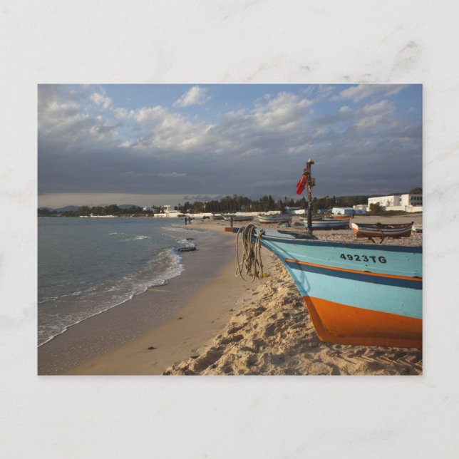 Carte Postale Tunisie, Cap Bon, Hammamet, front de mer, (Devant)