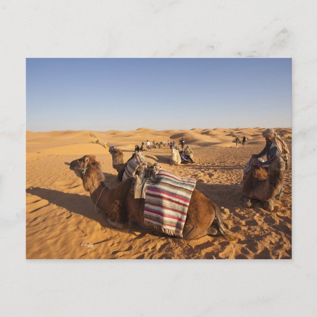 Carte Postale Tunisie, Ksour Area, Ksar Ghilane, Grand Erg 3 (Devant)