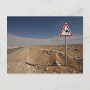 Carte Postale Tunisie, région de Ksour, Ksar Ghilane, oléoduc