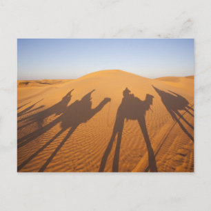 Carte Postale Tunisie, région des Ksour, Ksar Ghilane, Grand Erg