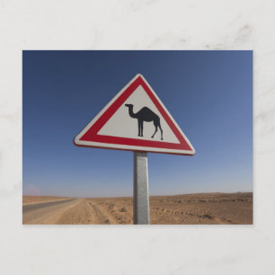 Carte Postale Tunisie, région des Ksour, Ksar Ghilane, Grand Erg