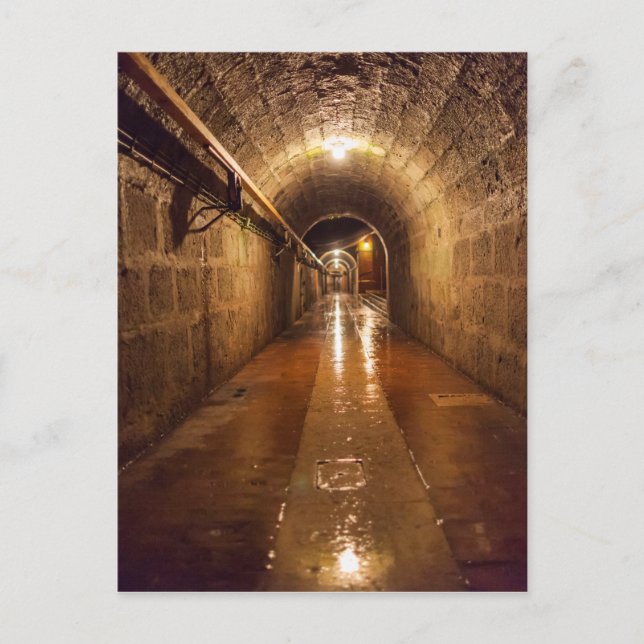 Carte Postale Tunnel de la mine de sel d'Alte Saline (Devant)