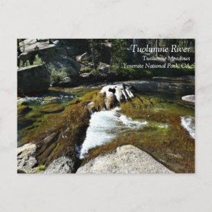 Carte Postale Tuolumne River à Tuolumne Meadows, Yosemite, CA P