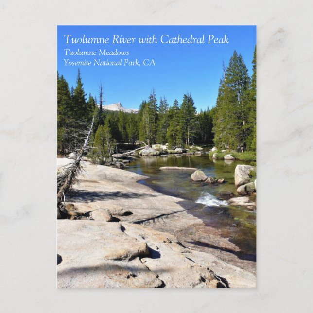 Carte Postale Tuolumne River avec Cathedral Peak, Yosemite, CA P (Devant)