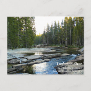 Carte Postale Tuolumne River par Camping, Yosemite, CA Postcar