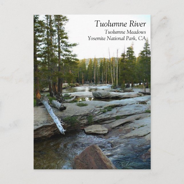 Carte Postale Tuolumne River par Camping, Yosemite, CA Postcar (Devant)