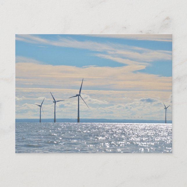 Carte Postale Turbines éoliennes (Devant)