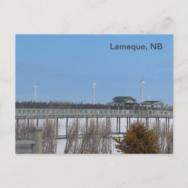 Carte Postale Turbines éoliennes de Lameque (Devant)
