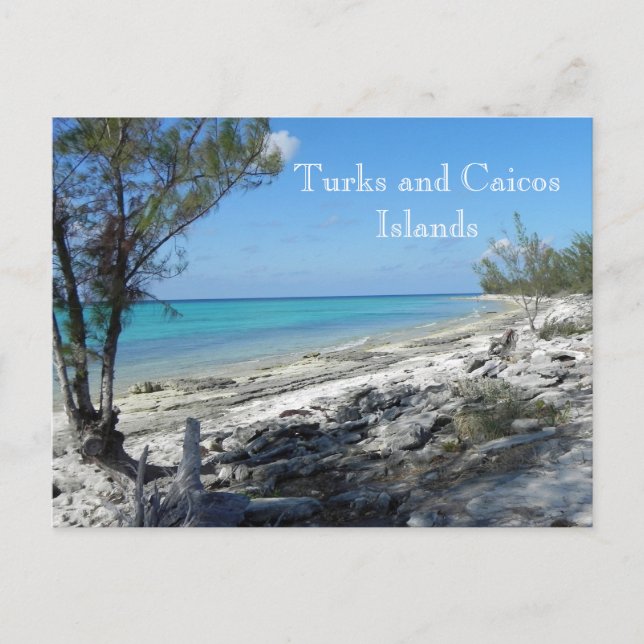 Carte Postale Turks and Caicos Islands _ postcard (Devant)