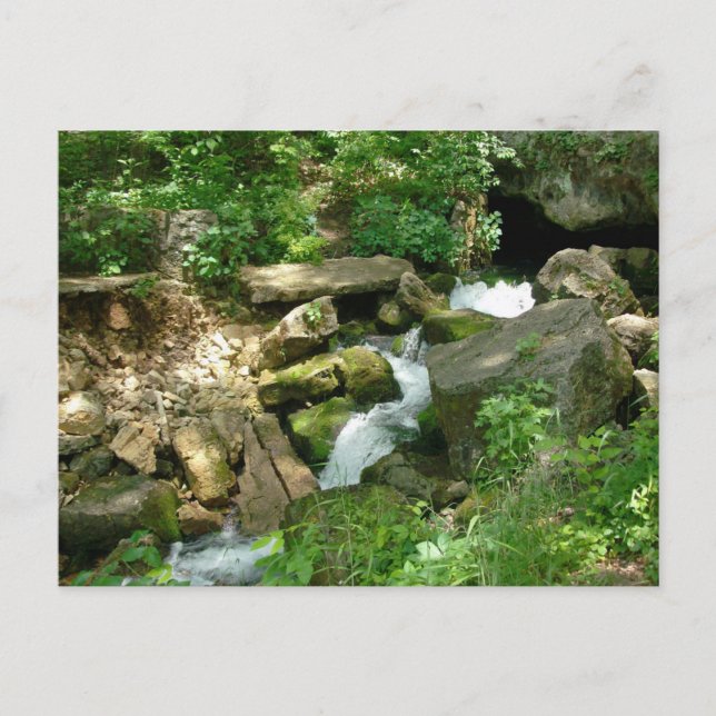 Carte Postale Turner Springs (Devant)