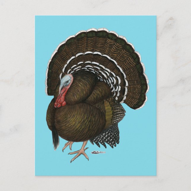 Carte Postale Turquie Bronze Tom (Devant)