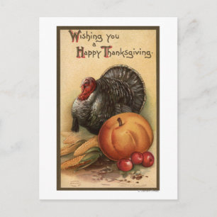 Carte Postale Turquie et production # 1