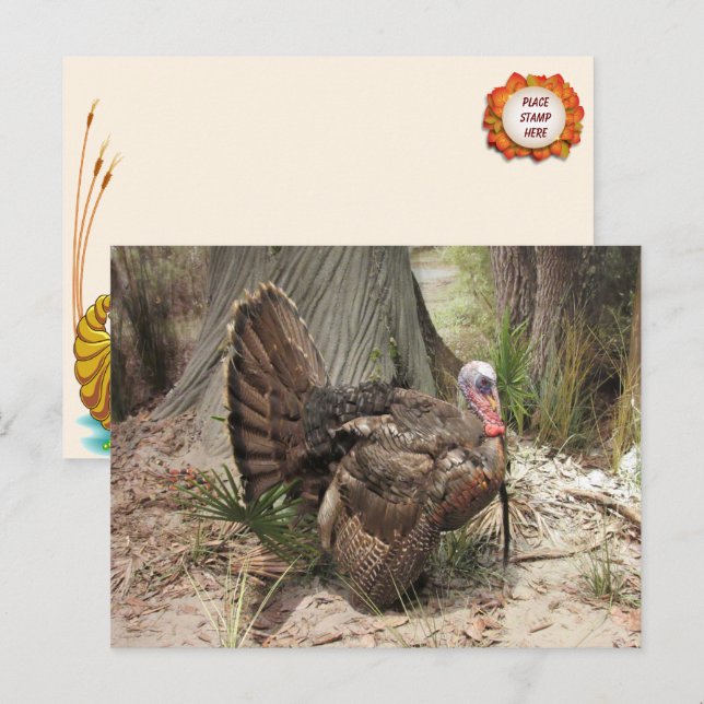Carte postale Turquie Thankgiving (Devant / Derrière)