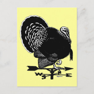 Carte Postale Turquie Weathervane
