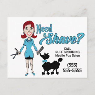 Carte Postale Turquoise Bleu Besoin d'un Groomer pour animaux de