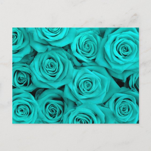Carte Postale Turquoise Spectaculaire Roses (Devant)