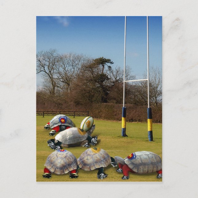 Carte Postale Turtle Rugby (Devant)