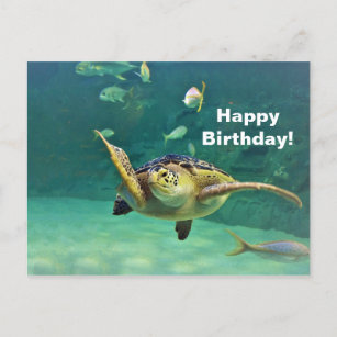 Carte Postale Turtle Sea Water Fish Photo Anniversaire