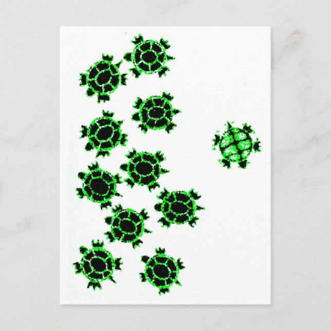 Carte Postale Turtles (Devant)