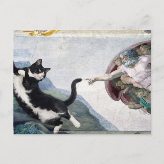 Carte Postale Tuxedo Cat Touching the Divine Paw                 (Devant)