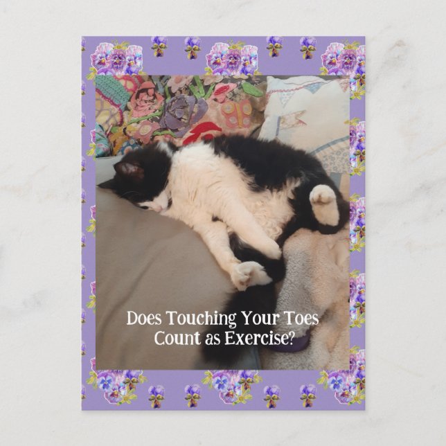 Carte Postale Tuxedo Chat Cute Joyeux Anniversaire Touch Toes Ca (Devant)